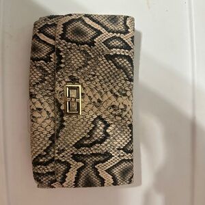 Snake Print Clutch with Gold Accent
